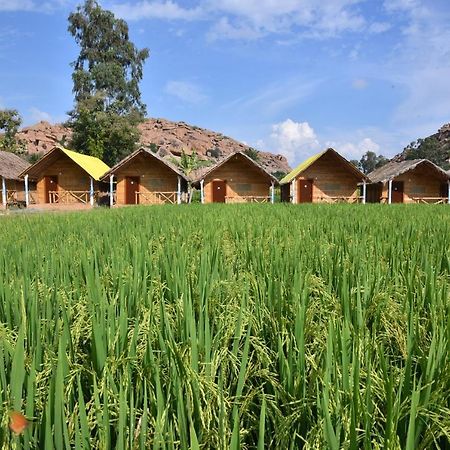 Dream Mango Hampi Hotel Exterior foto